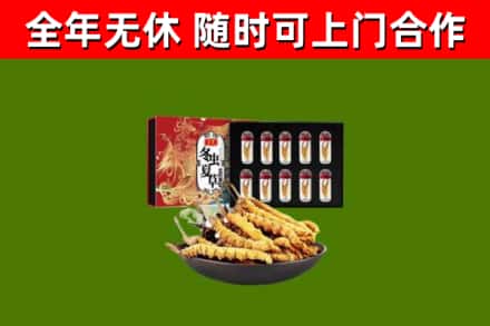 鄂州回收冬虫夏草价格